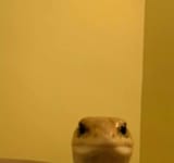 1603041289065