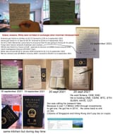 moonman biz collage