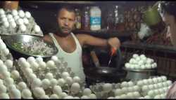 Egg Fort_thumb.jpg