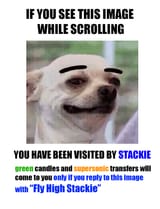 FLY_HIGH_STACKIE