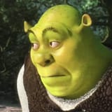 Shrek face