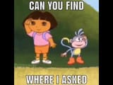 Dora cant find it