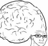 brain