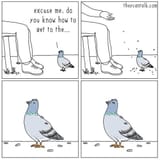1611503106396