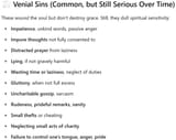 ((VENIAL SINS))