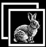 overlay_image(107)(1)