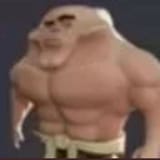 28833645