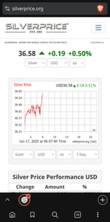 Screenshot_20250617-060725_Brave