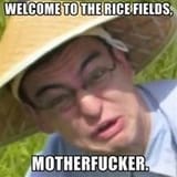 rice_fields_MFer