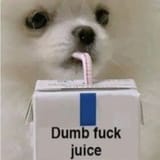 dumb fuck juice