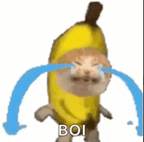 banana-cat-crying