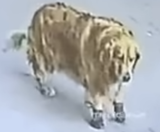 164101335095