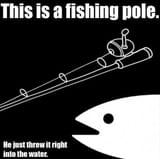 bait