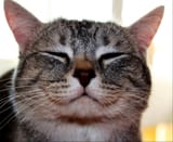 smile for the retard camera
