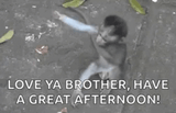 17735933043