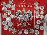 Polish coins