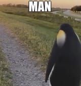 1691472248657