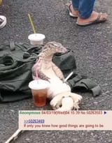 1751207503788642