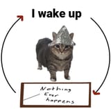 1750306818465659
