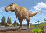 11tb-trex-cousin-01-tjkc-superJumbo