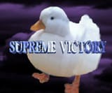 1586250001513
