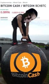 bcash-struggle