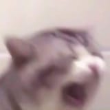 ket