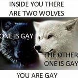 1561678593119