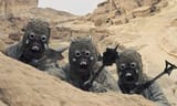 sandy niggers