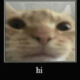 wpiai6r95df61