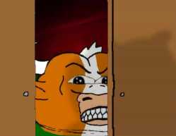door-rej_thumb.jpg