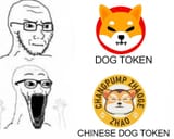 shiba