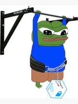 hanging.in.there