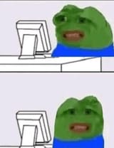 frog-meme-wtf-gif[1]