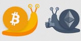 ethsnailbtc