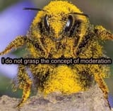 1747174025666000