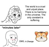 omgazhaoge