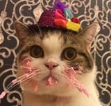 IMG_2080