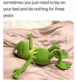 1651432002497