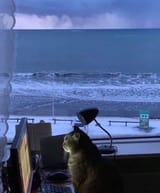 1748460475907450