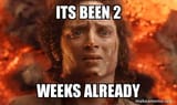 2tumoreweeks