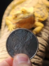 dragon tier stacker