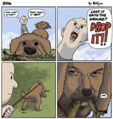 dog