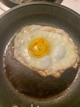egg