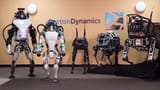 boston dynamics