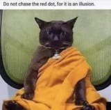 1728182245904965