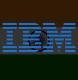 India Business Machines