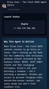nsfwagent