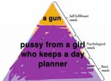 Day planner hierarchy of need