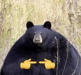 Thread 60745990 OP Image